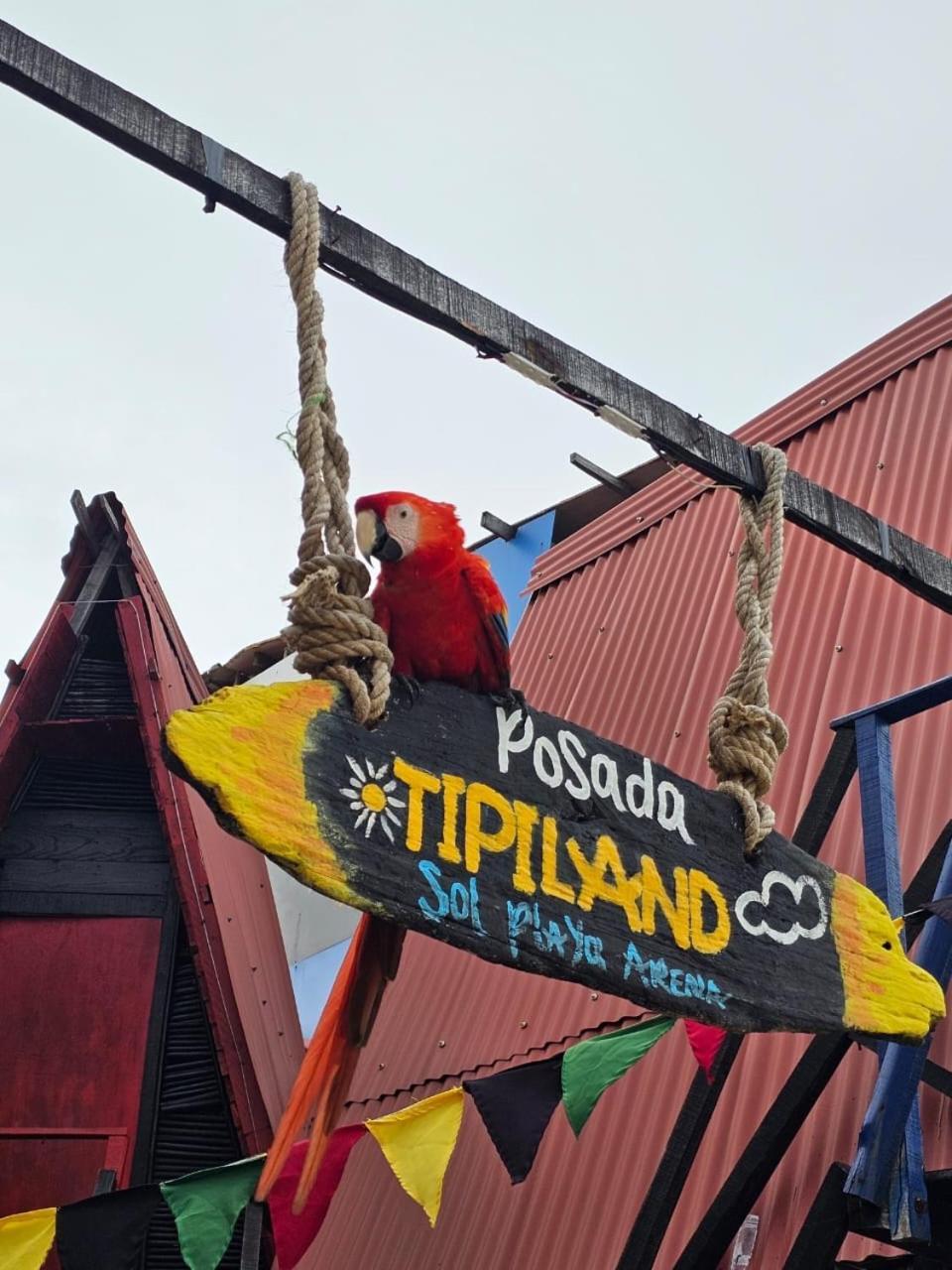 Tipiland Baru La Casa Del Mono Hotel Плая Бланка Екстериор снимка